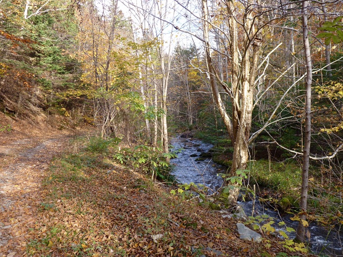 Cape Mabou Highland Hiking Trails 7.jpg